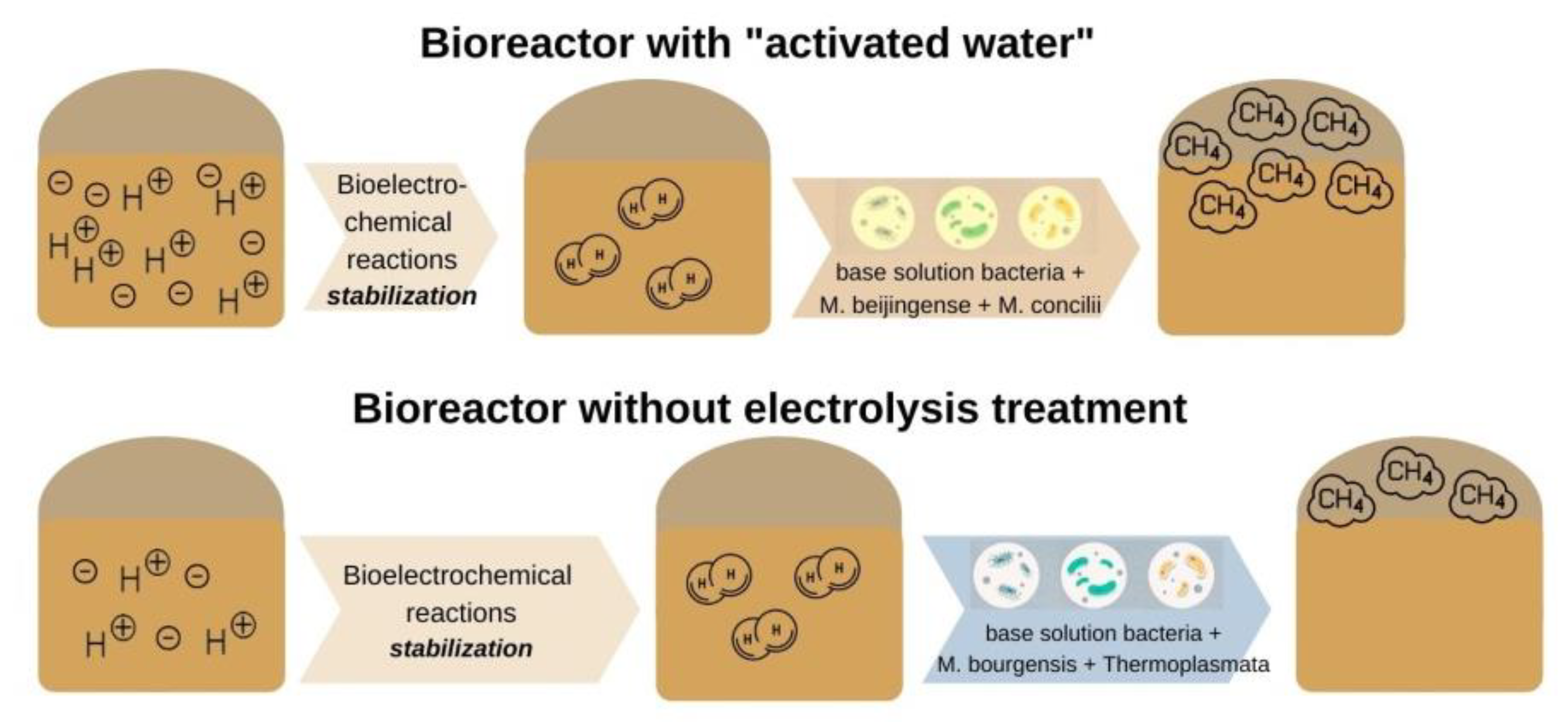 Fermentation 08 00570 g003 Fermentation 08 00570 g003