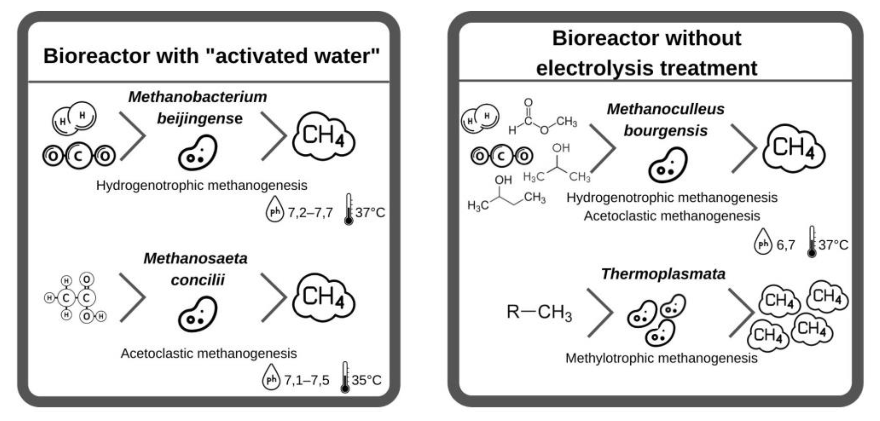Fermentation 08 00570 g004 Fermentation 08 00570 g004