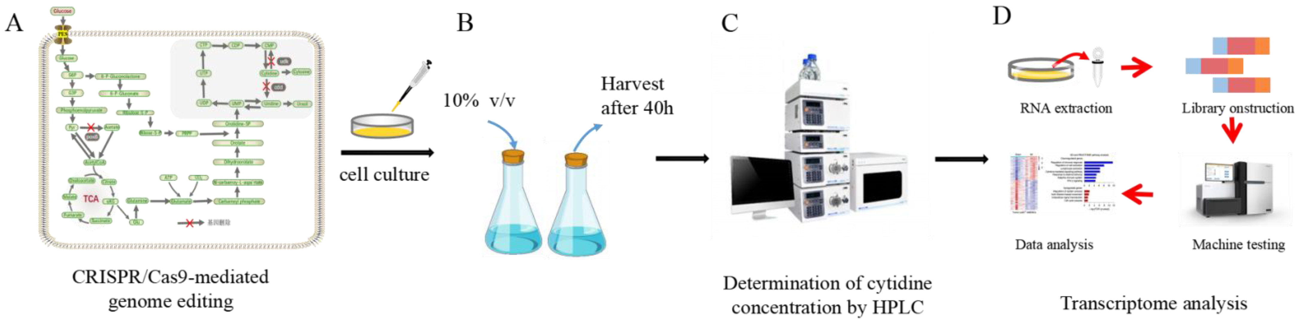 Fermentation 08 00586 g001