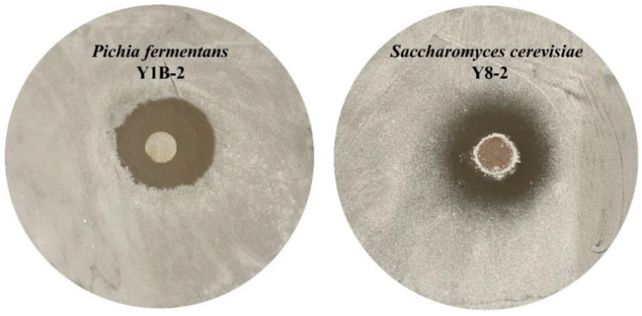 Fermentation 08 00588 g001 Fermentation 08 00588 g001