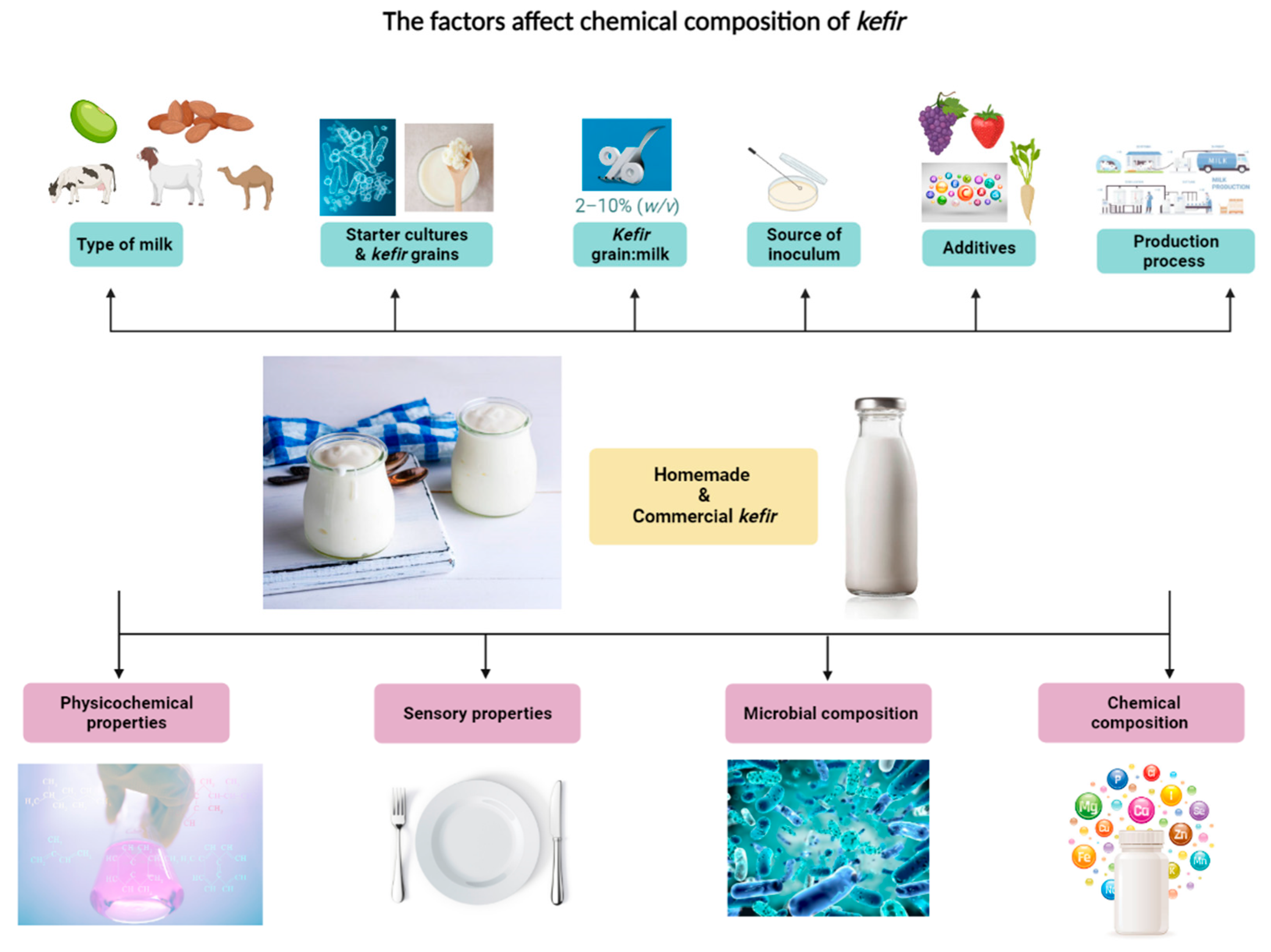 Fermentation 08 00590 g001