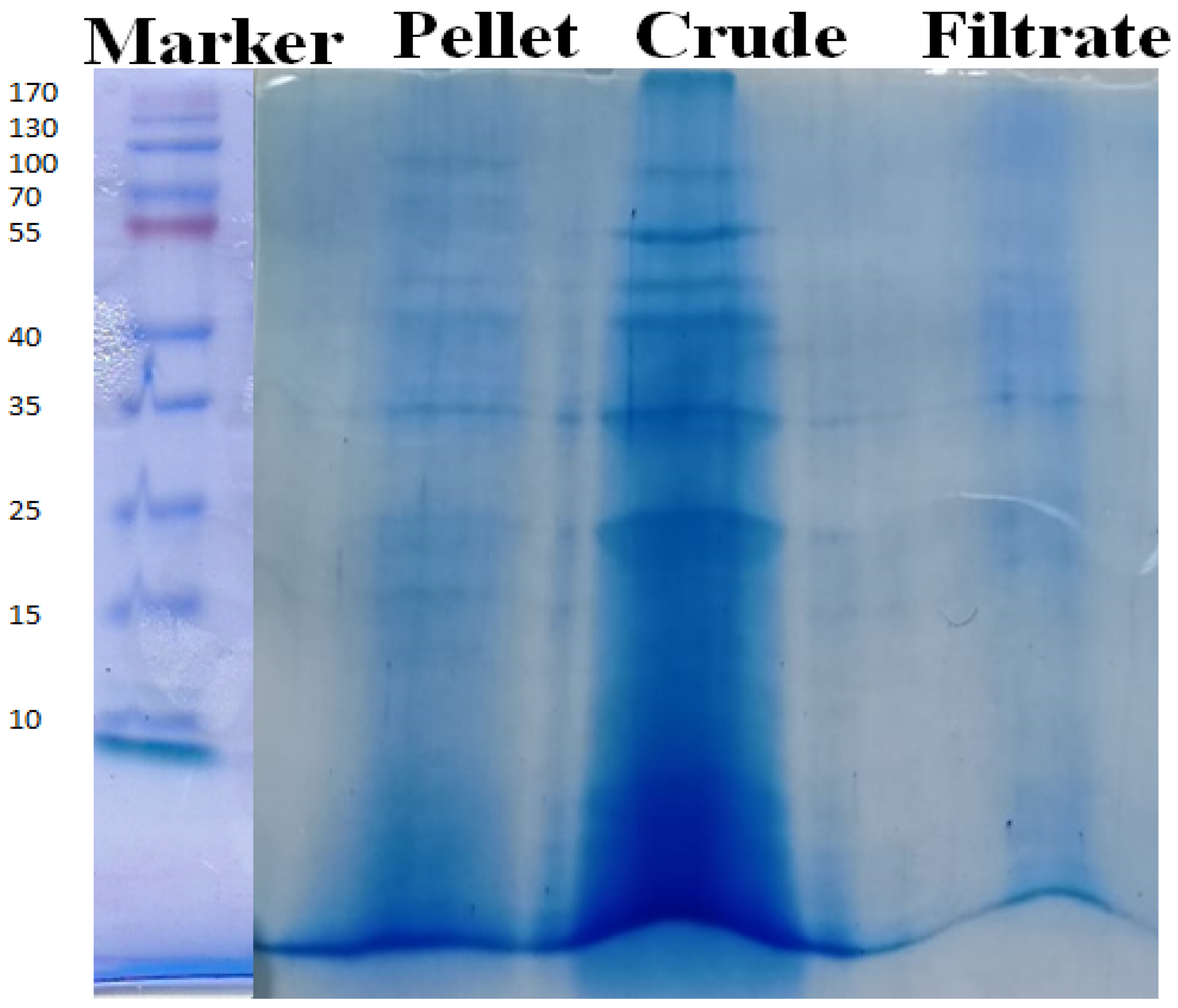Fermentation 08 00628 g002