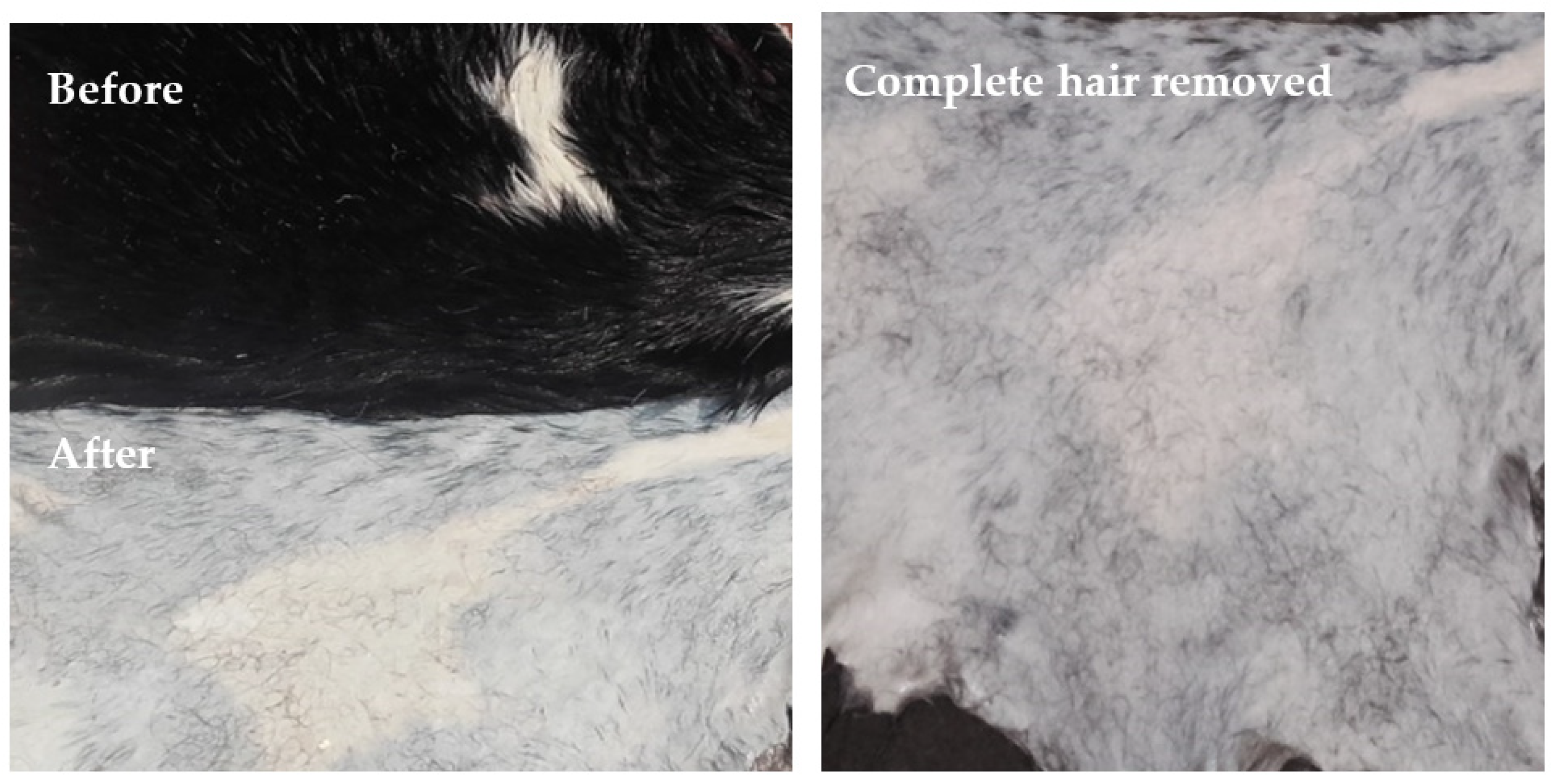 Fermentation 08 00628 g008