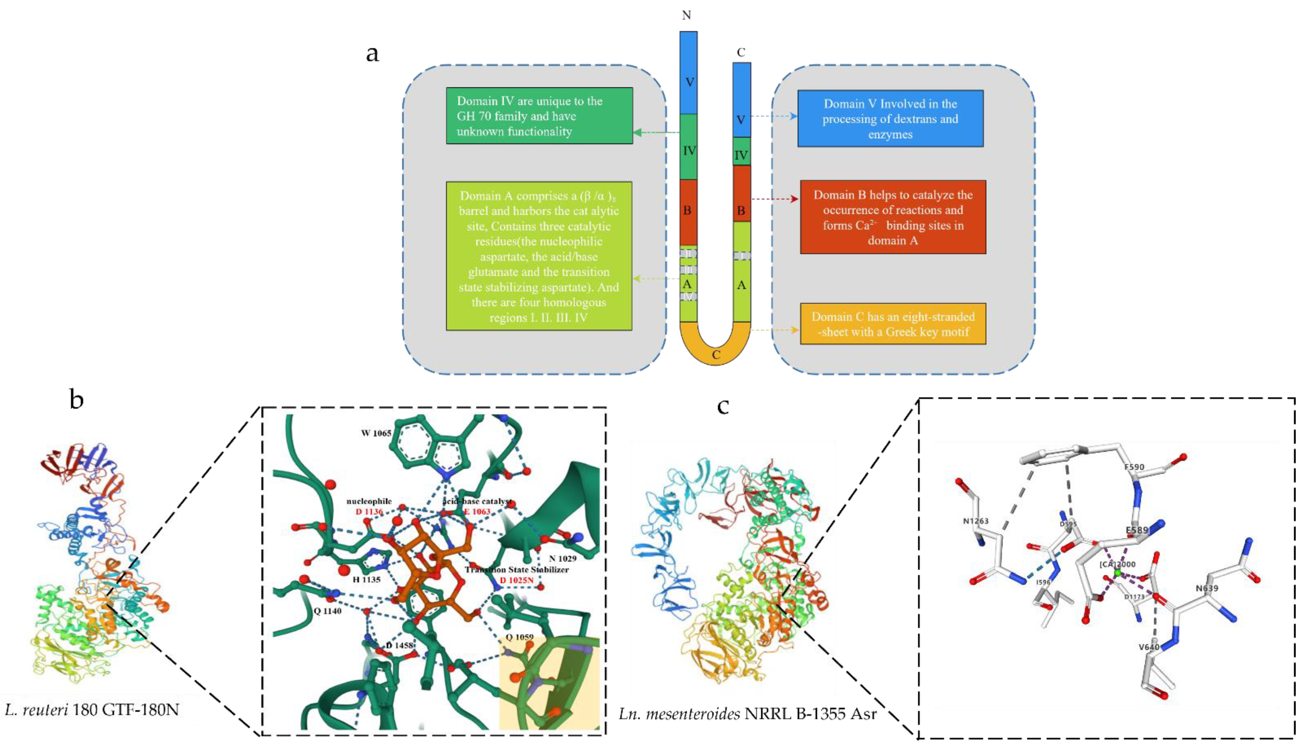 Fermentation 08 00629 g001