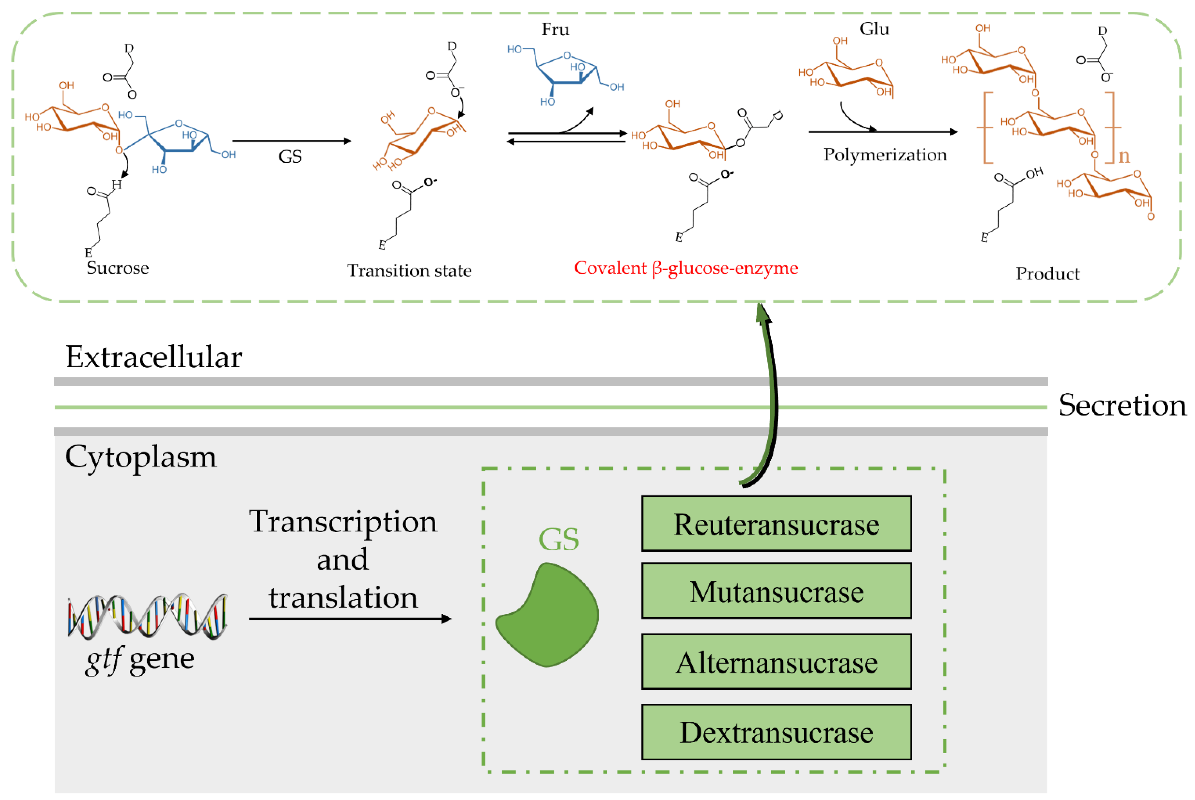 Fermentation 08 00629 g002