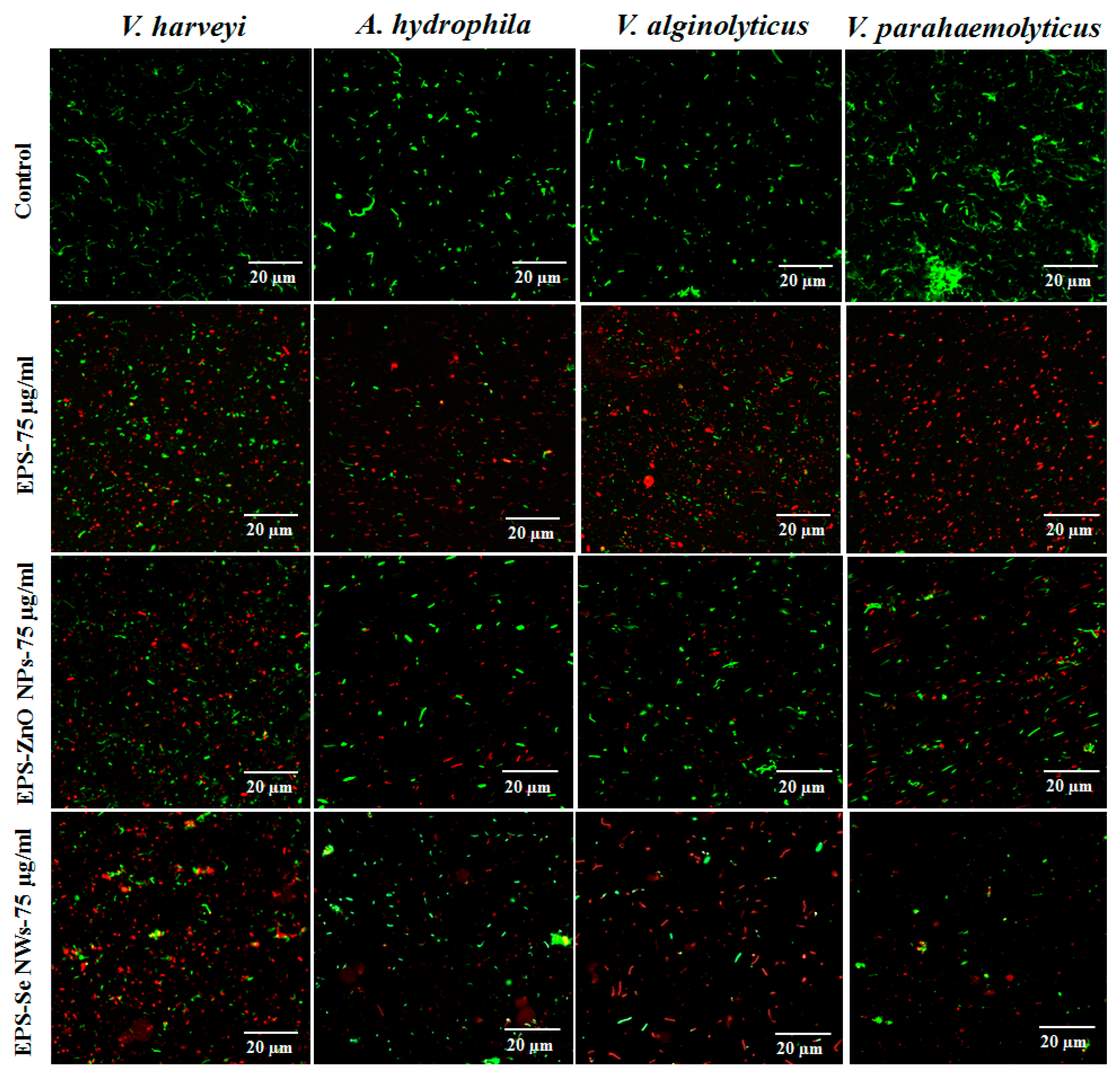 Fermentation 08 00637 g002