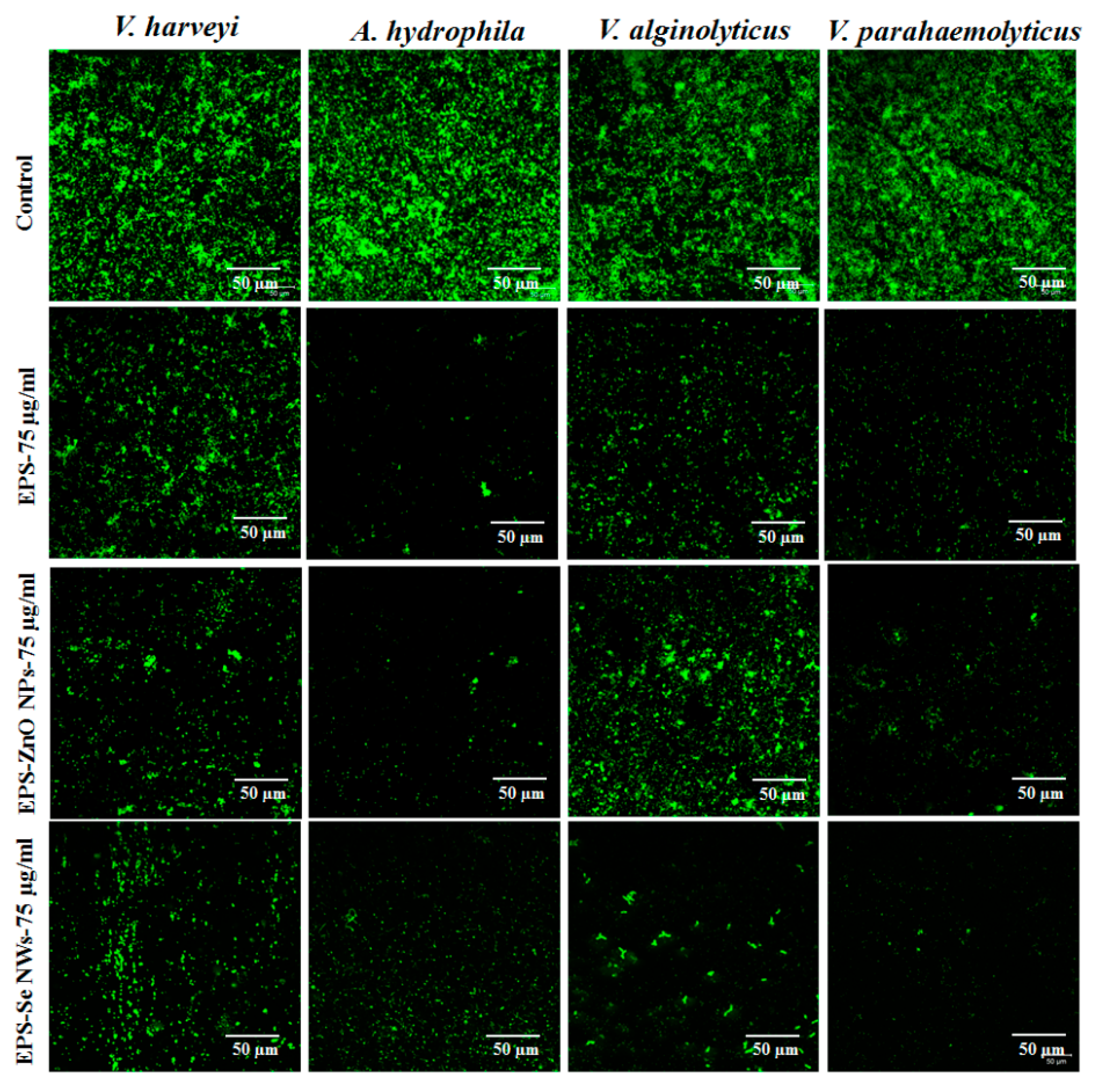 Fermentation 08 00637 g003