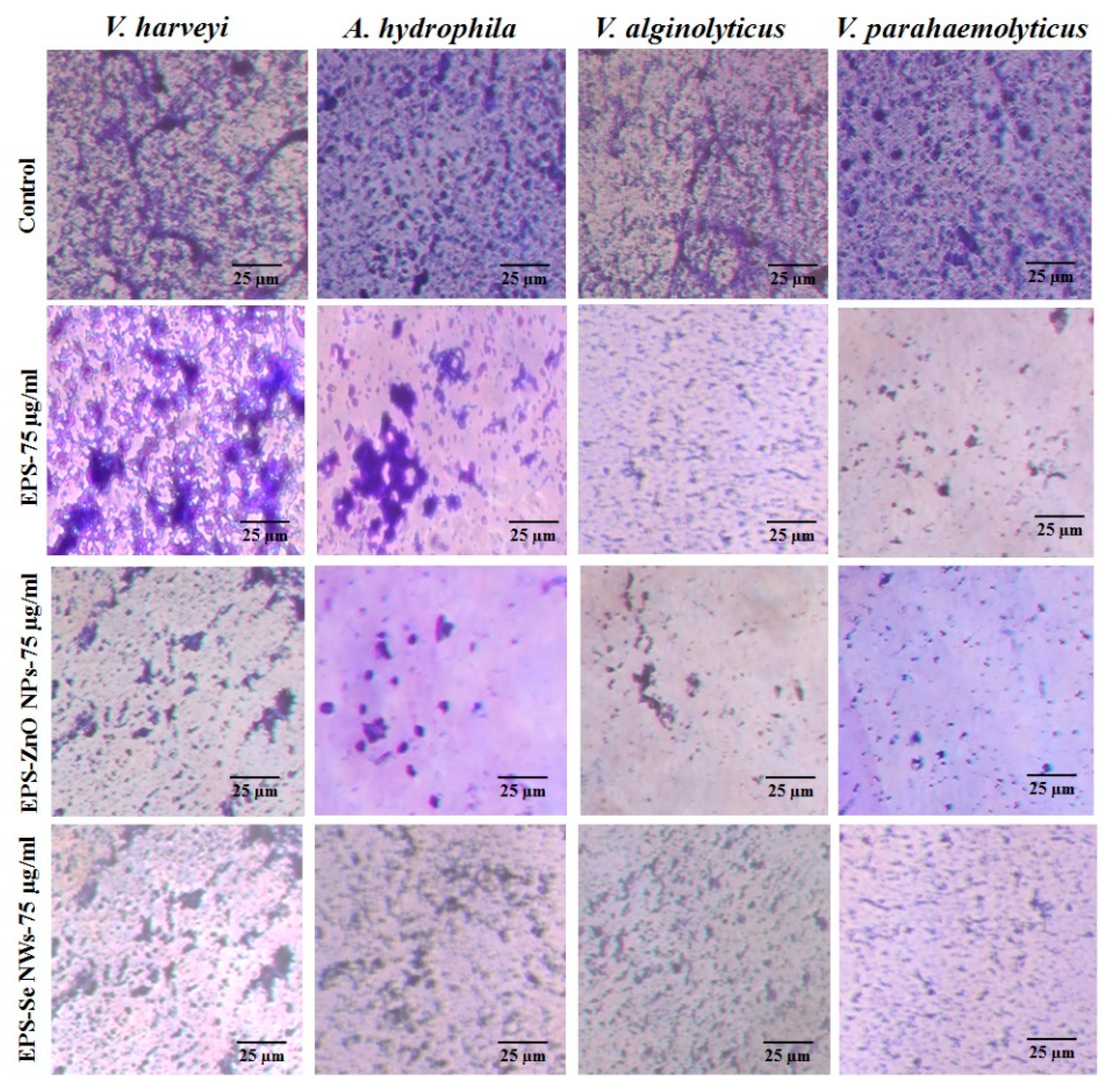 Fermentation 08 00637 g004