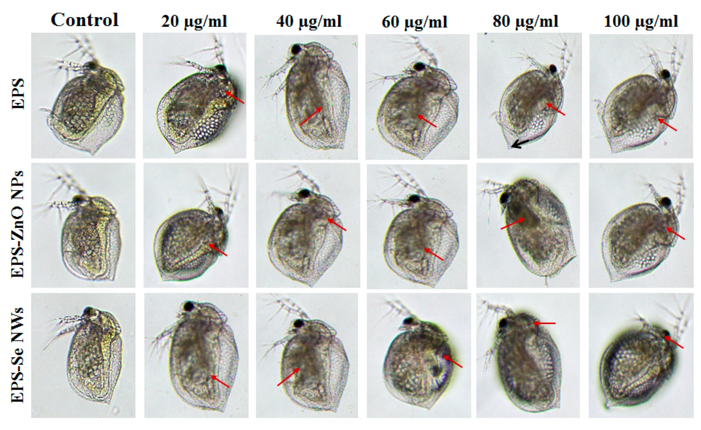 Fermentation 08 00637 g006