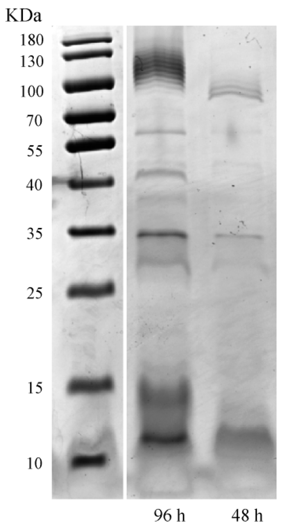 Fermentation 08 00655 g001 Fermentation 08 00655 g001