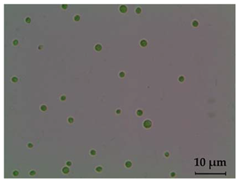 Fermentation 08 00658 i001