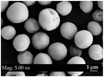 Fermentation 08 00658 i002