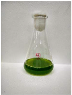 Fermentation 08 00658 i007