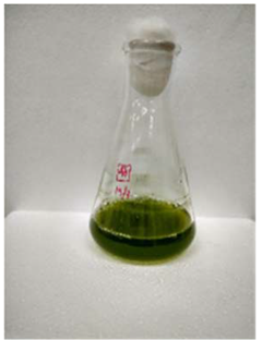 Fermentation 08 00658 i008