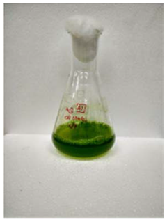 Fermentation 08 00658 i010