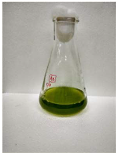 Fermentation 08 00658 i013