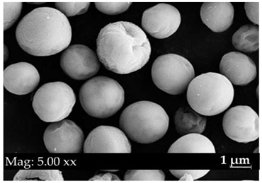 Fermentation 08 00658 i018