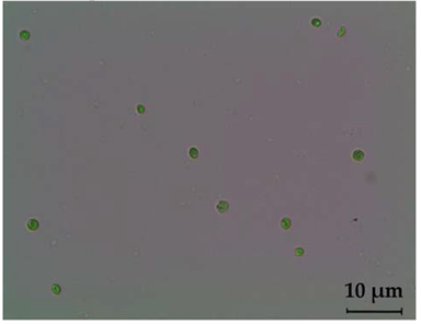 Fermentation 08 00658 i020