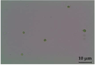Fermentation 08 00658 i021