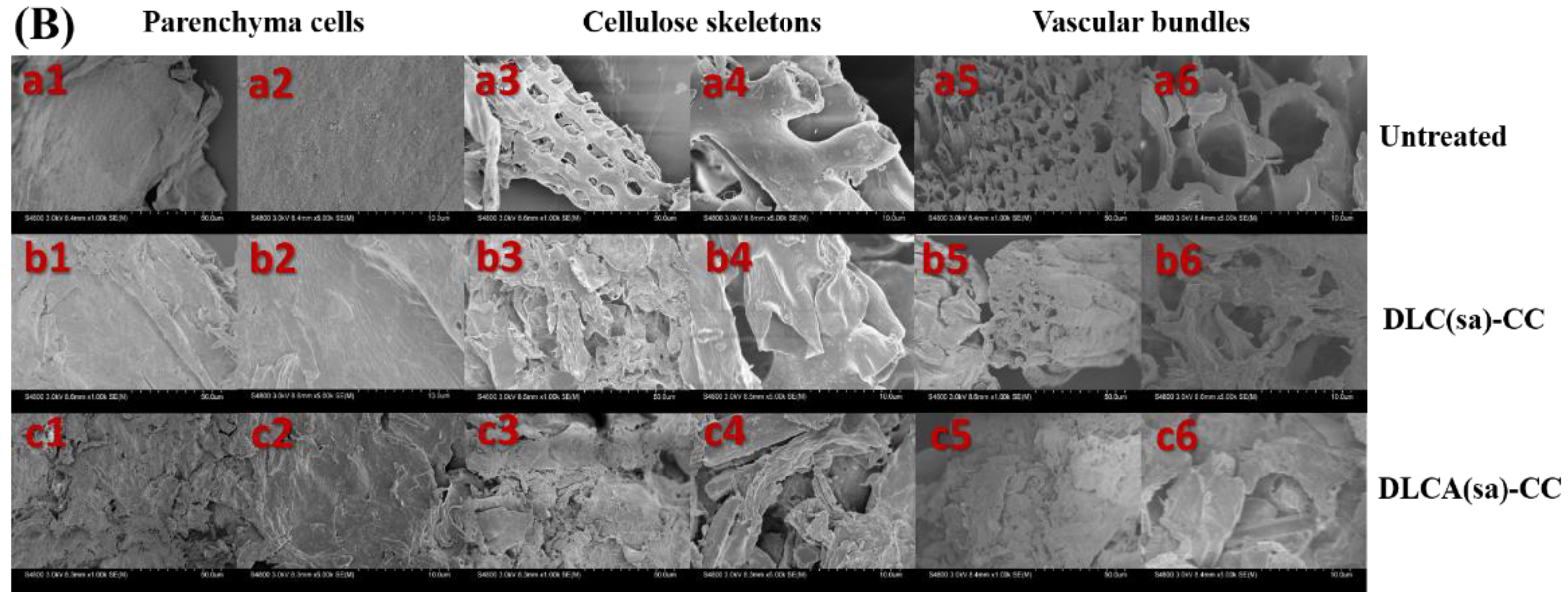 Fermentation 08 00661 g002b