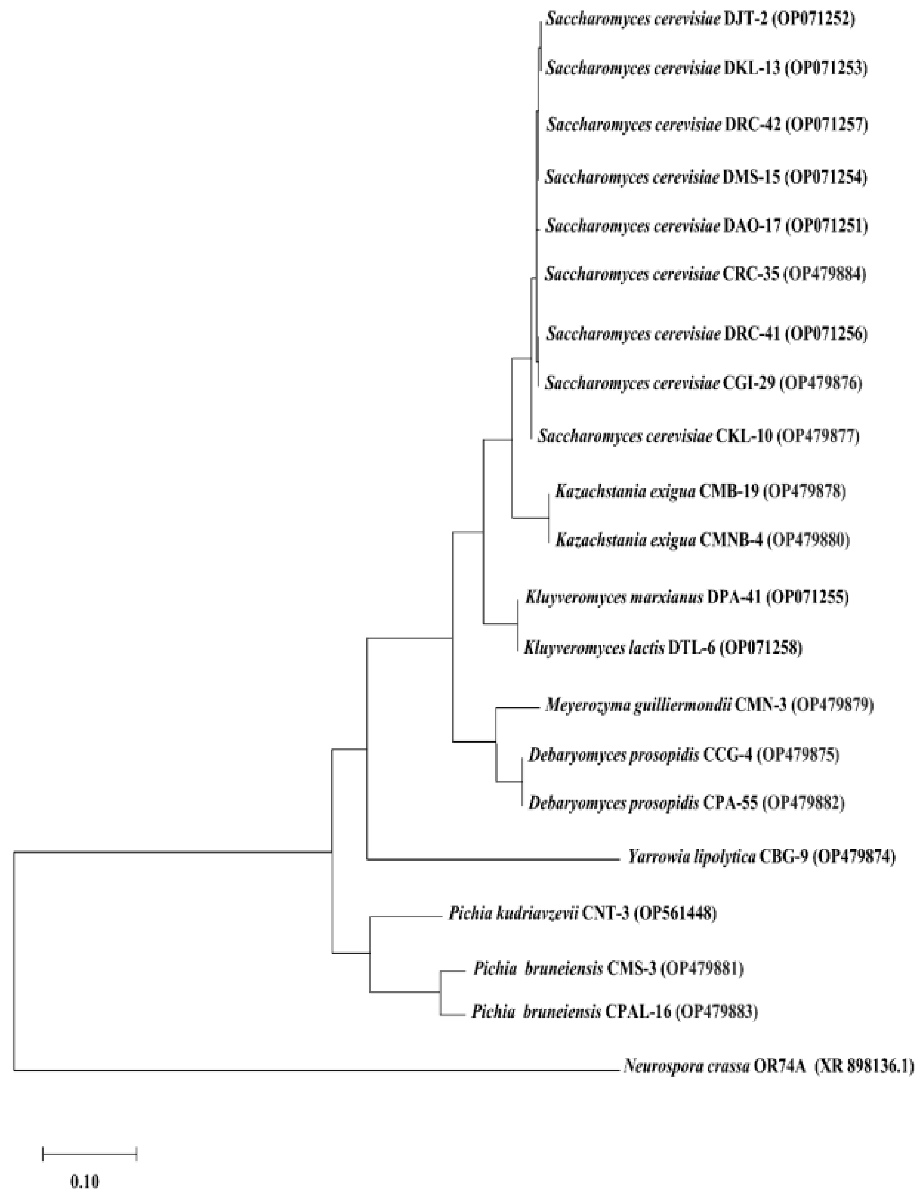 Fermentation 08 00664 g003 Fermentation 08 00664 g003