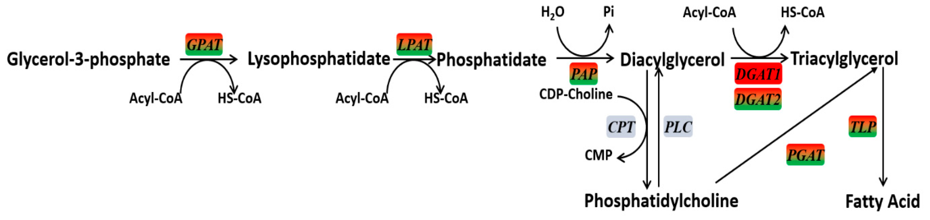 Fermentation 08 00667 g003 Fermentation 08 00667 g003