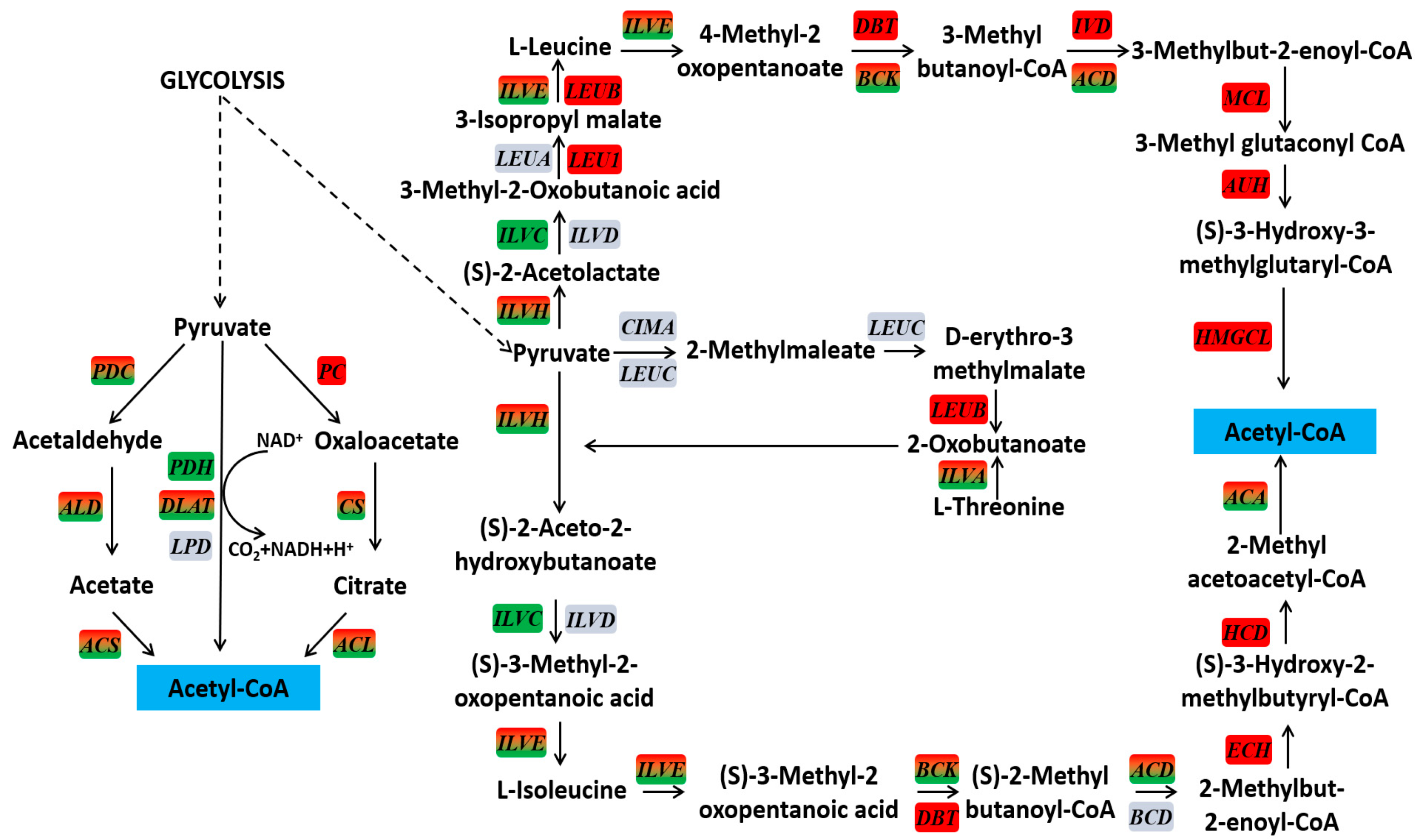 Fermentation 08 00667 g004 Fermentation 08 00667 g004