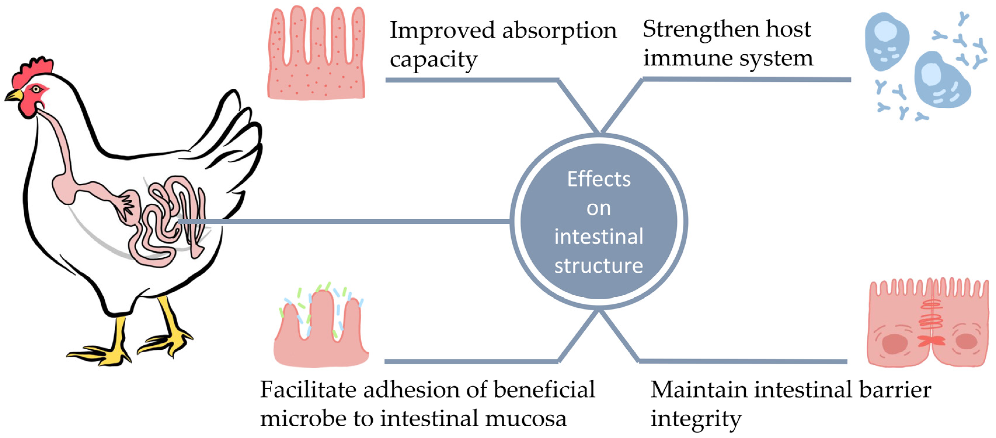 Fermentation 08 00672 g002