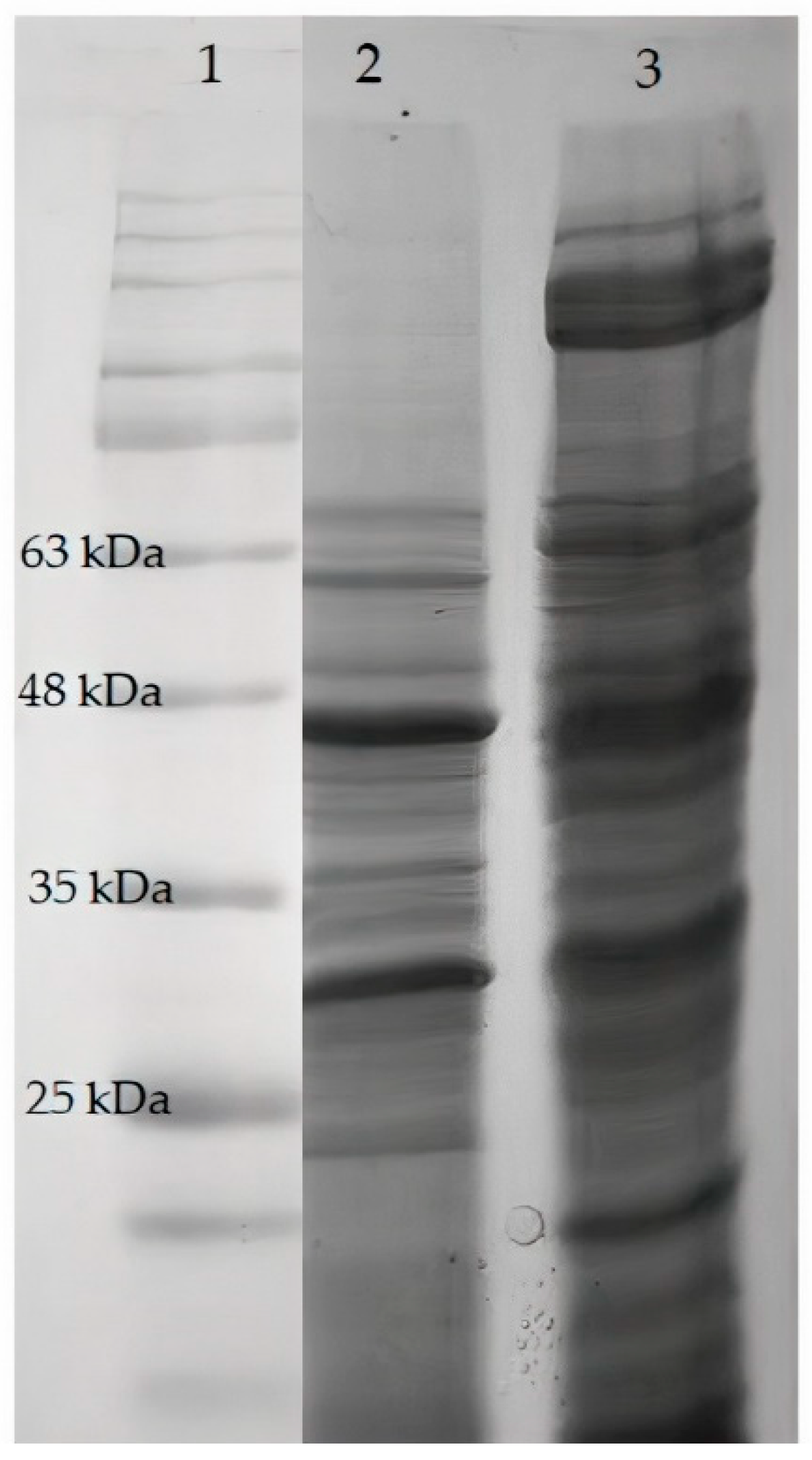Fermentation 08 00675 g003