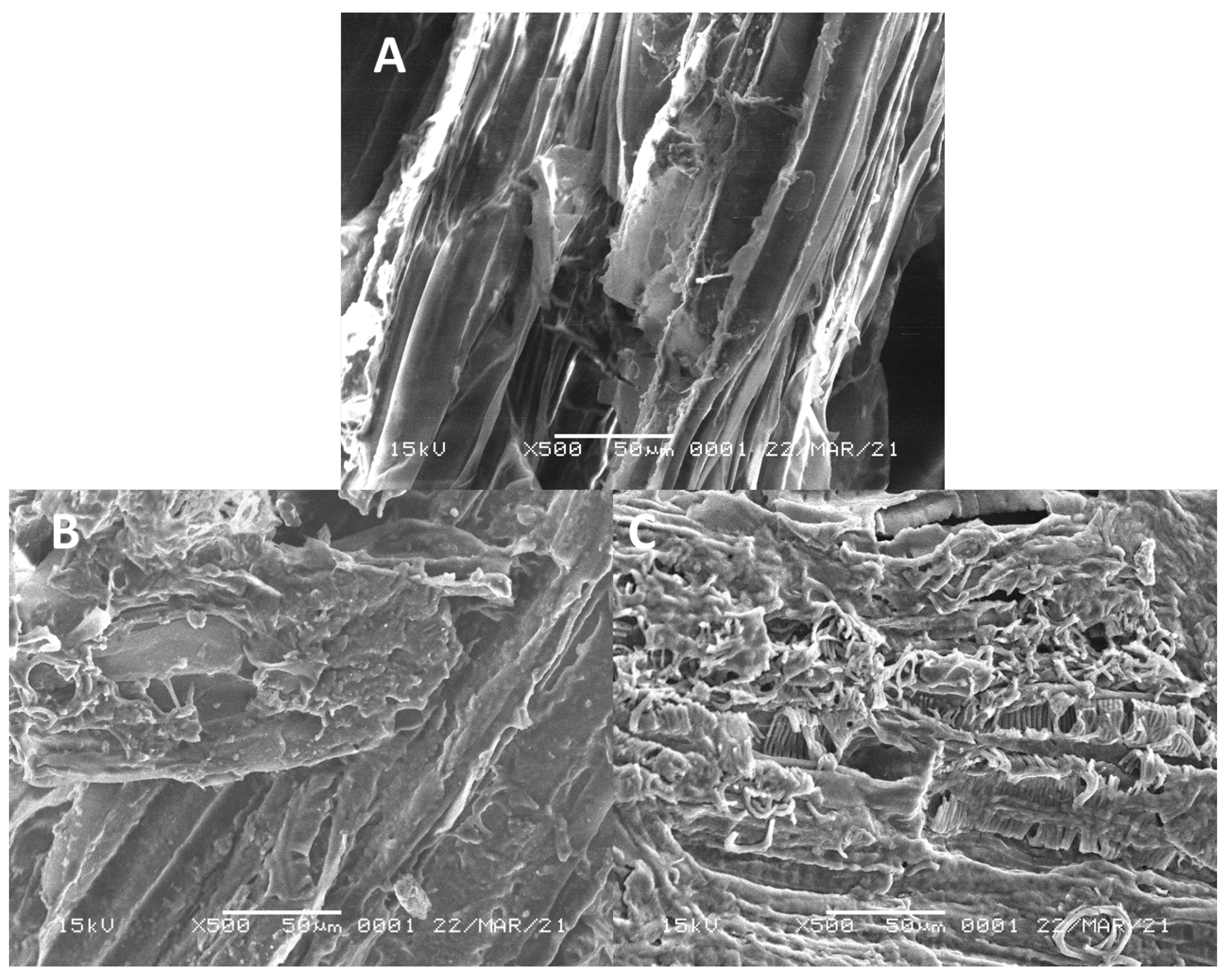 Fermentation 08 00694 g002