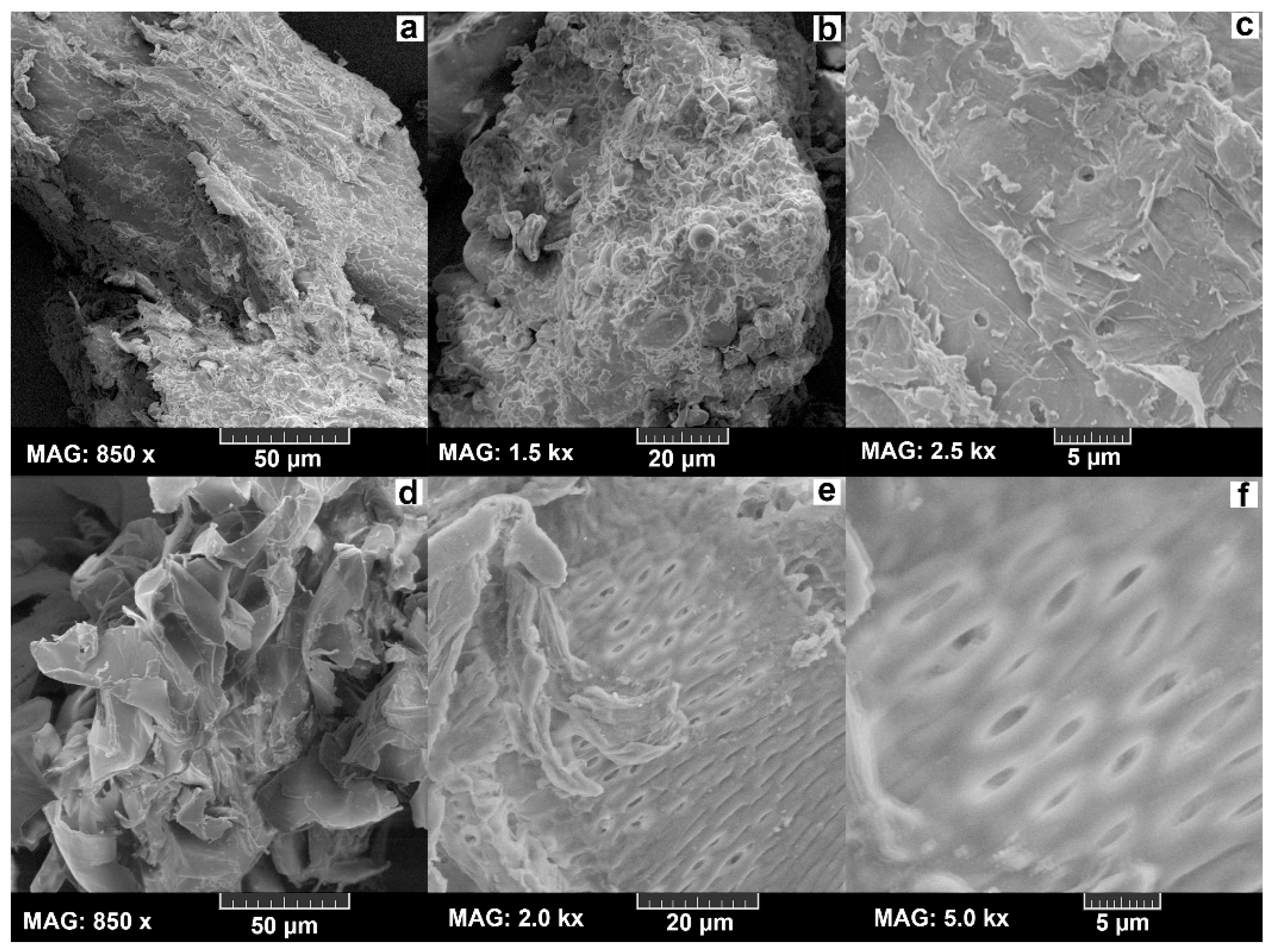 Fermentation 08 00704 g002 Fermentation 08 00704 g002