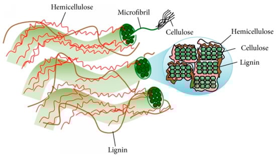Fermentation 08 00705 g001