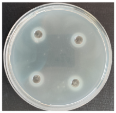 Fermentation 08 00716 i001