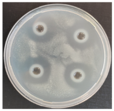 Fermentation 08 00716 i002