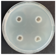 Fermentation 08 00716 i004