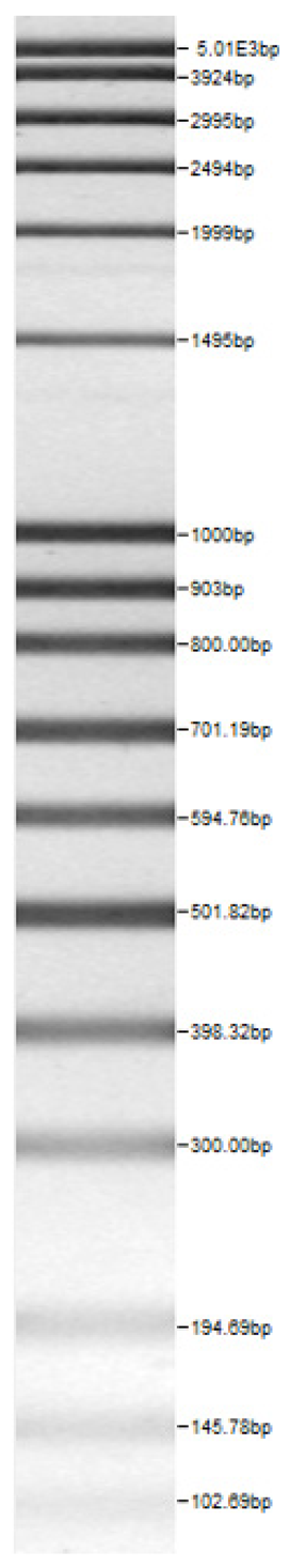Fermentation 08 00724 i001