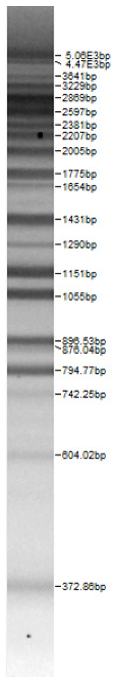 Fermentation 08 00724 i002