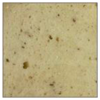 Fermentation 08 00724 i006