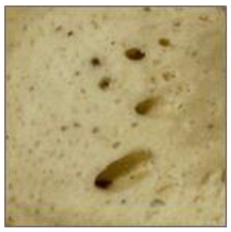 Fermentation 08 00724 i011