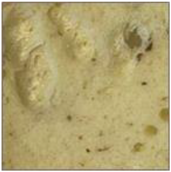 Fermentation 08 00724 i015