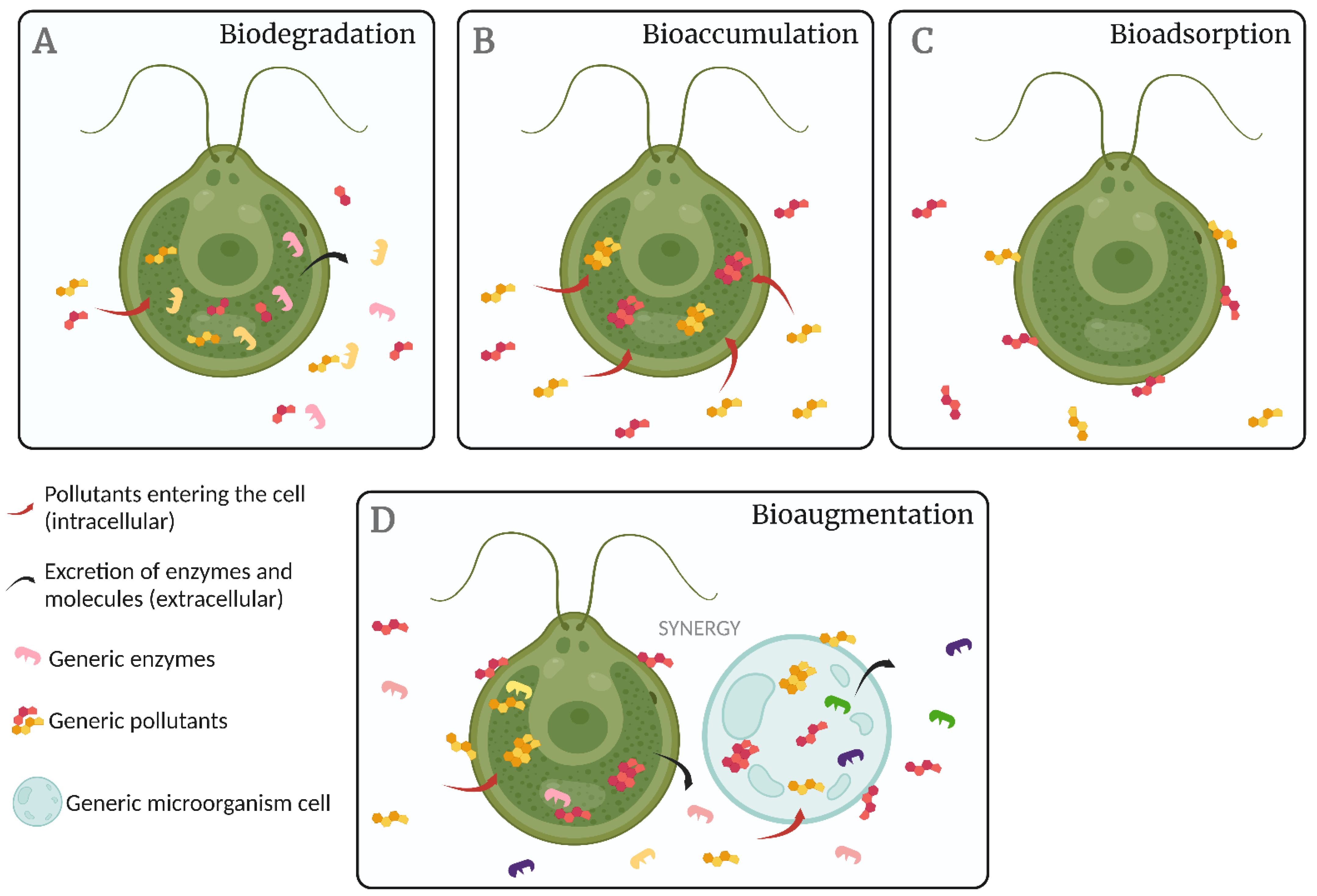 Fermentation 08 00728 g002 Fermentation 08 00728 g002