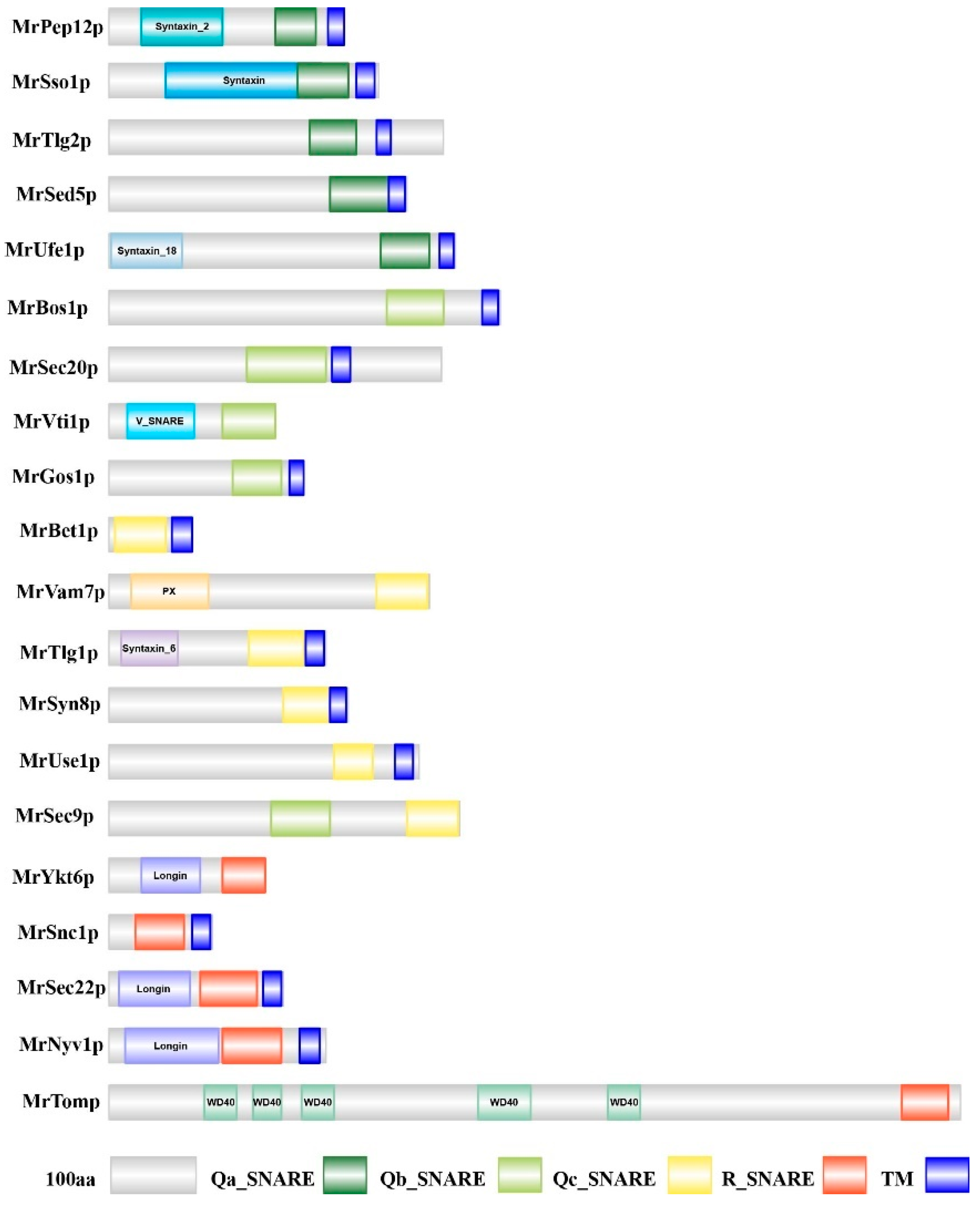 Fermentation 08 00750 g002