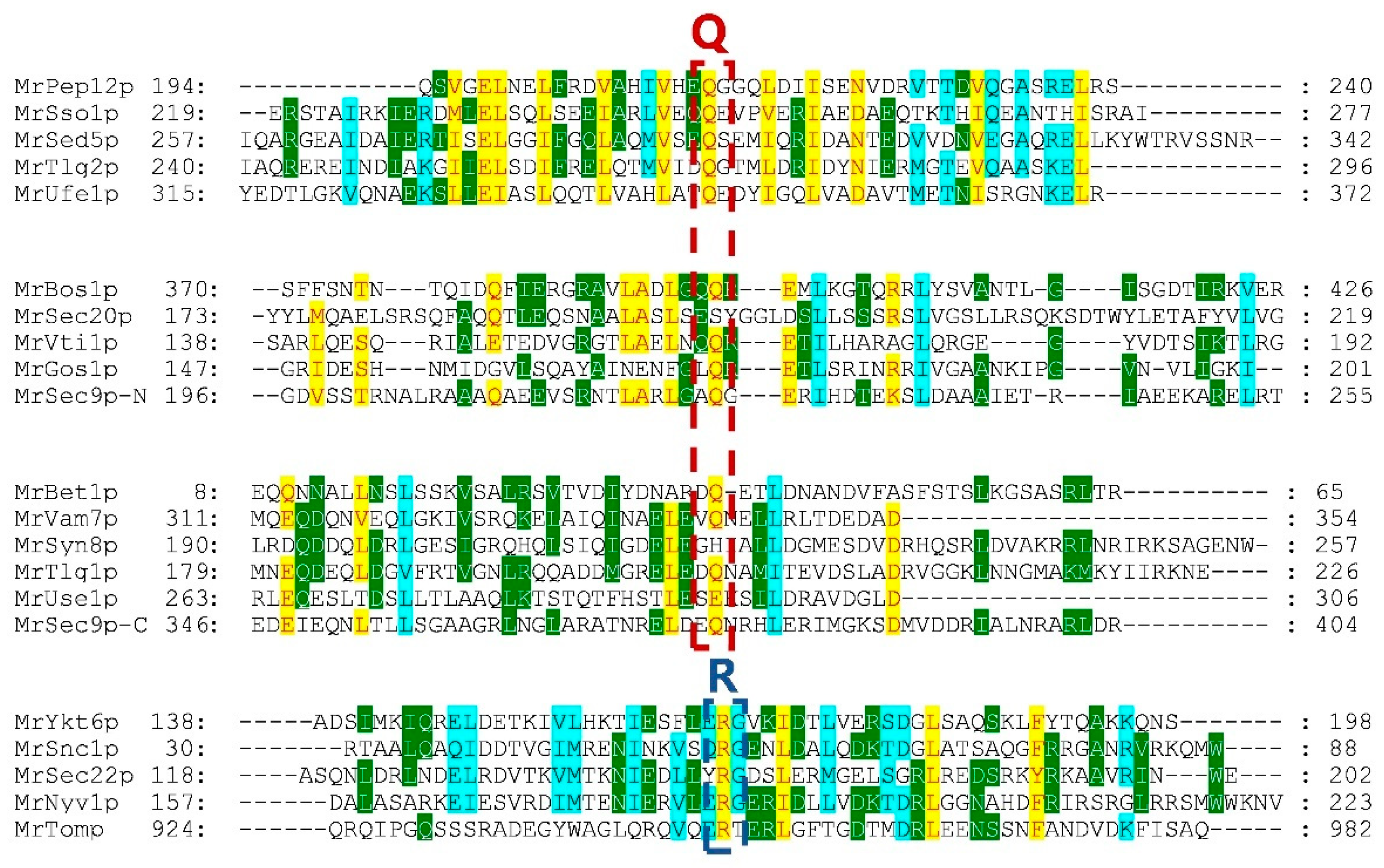 Fermentation 08 00750 g003