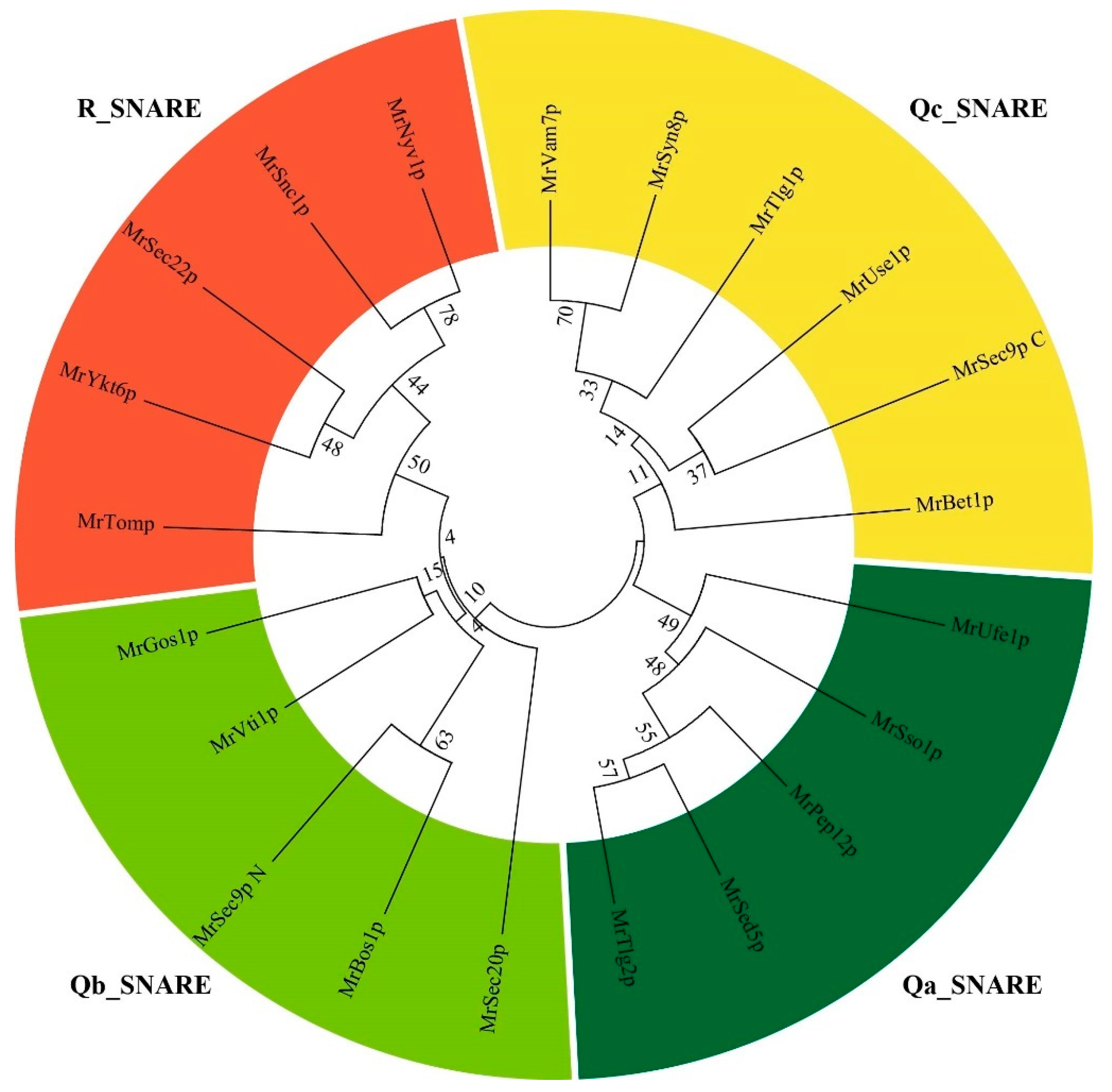 Fermentation 08 00750 g004