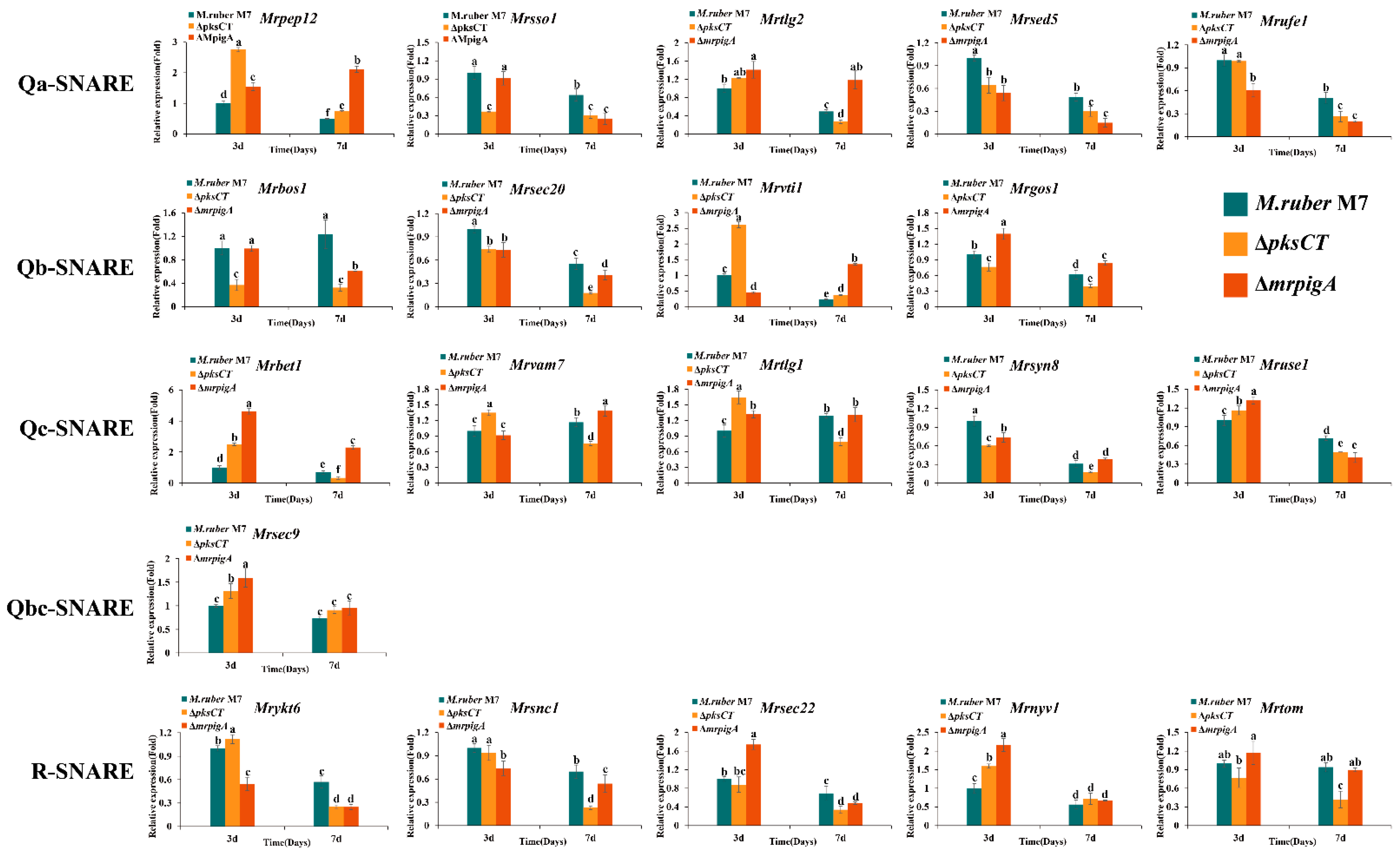 Fermentation 08 00750 g005