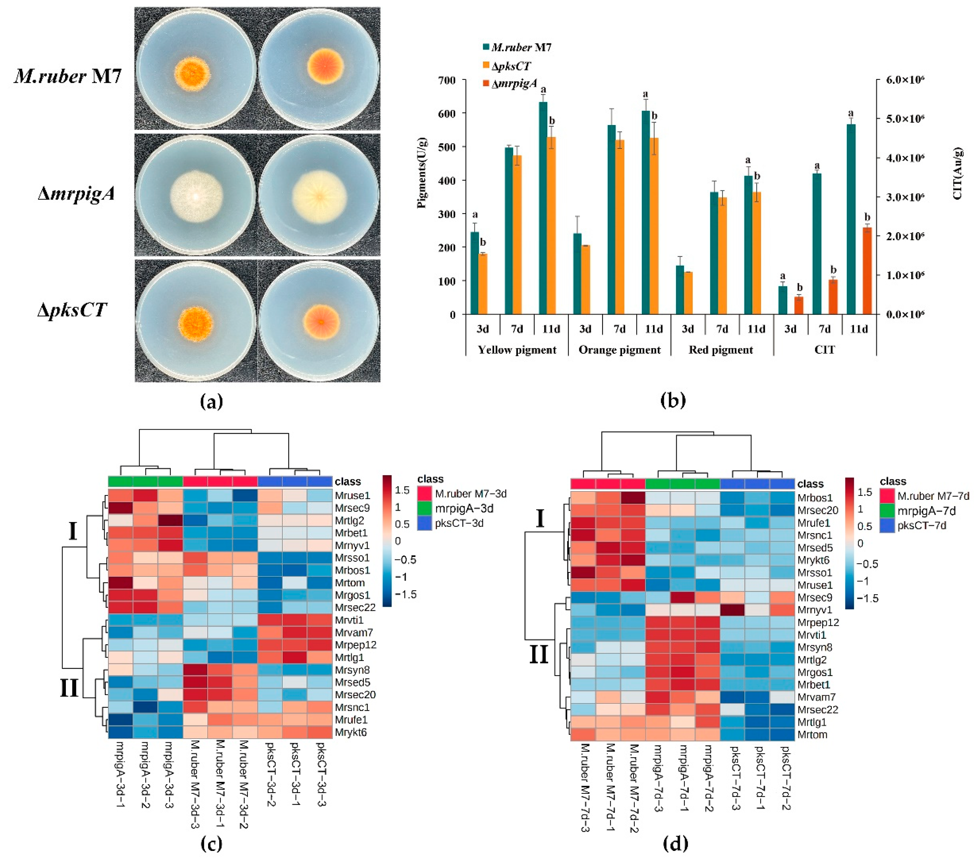 Fermentation 08 00750 g006