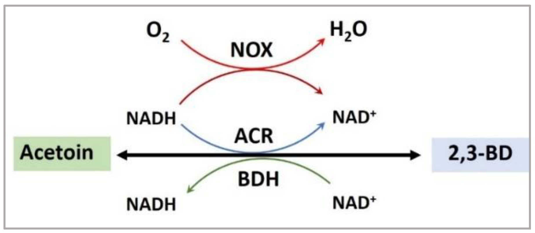 Fermentation 09 00015 g004 Fermentation 09 00015 g004