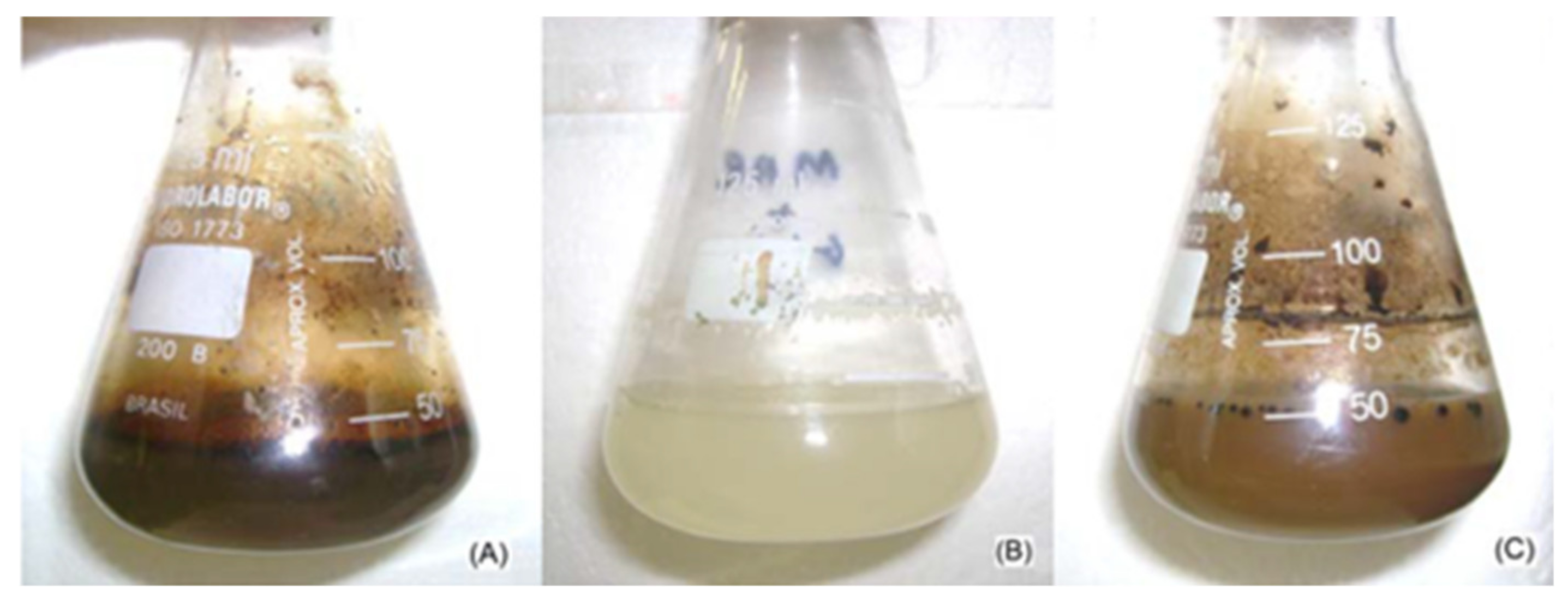 Fermentation 09 00021 g002 Fermentation 09 00021 g002