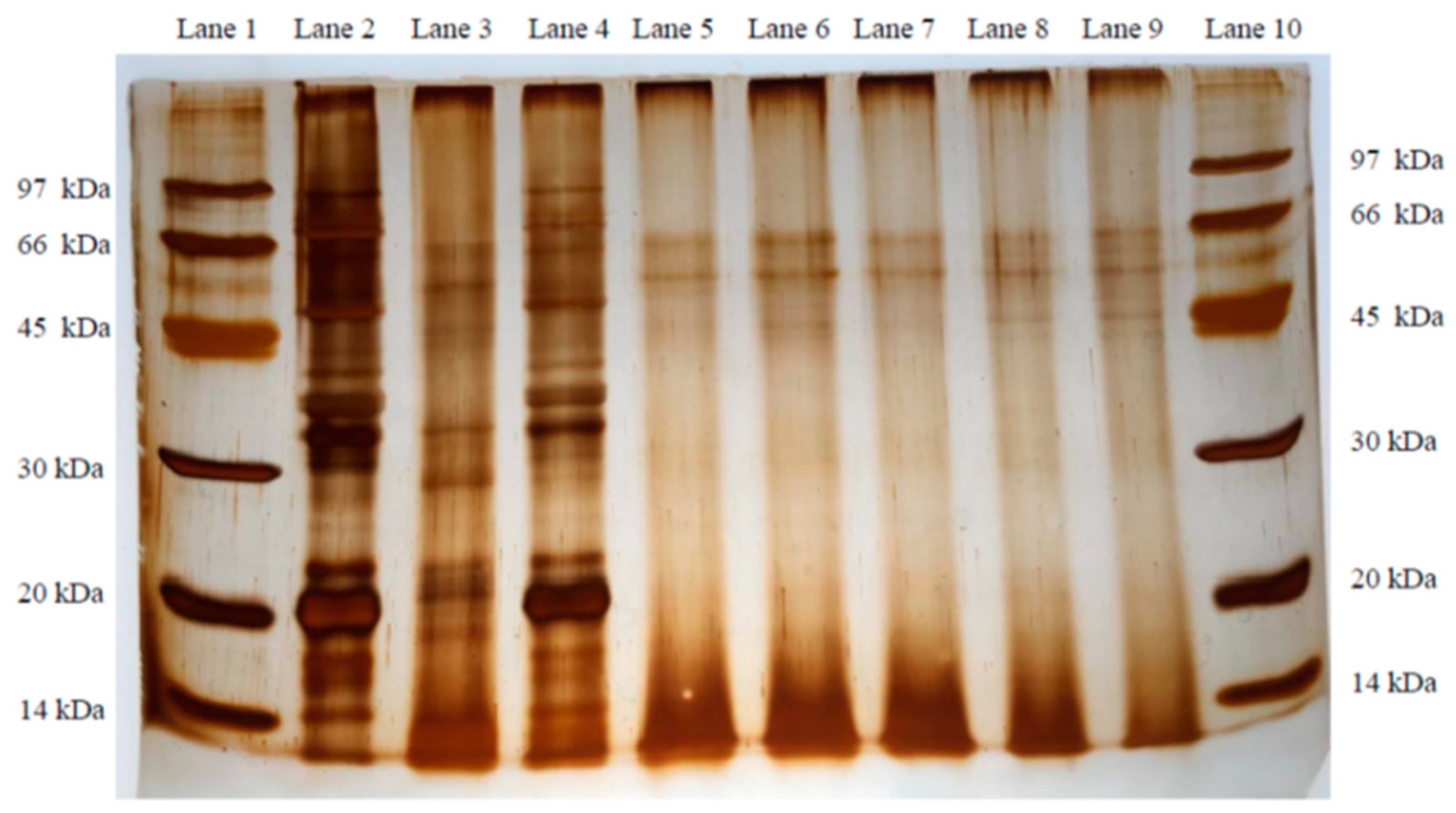 Fermentation 09 00024 g001