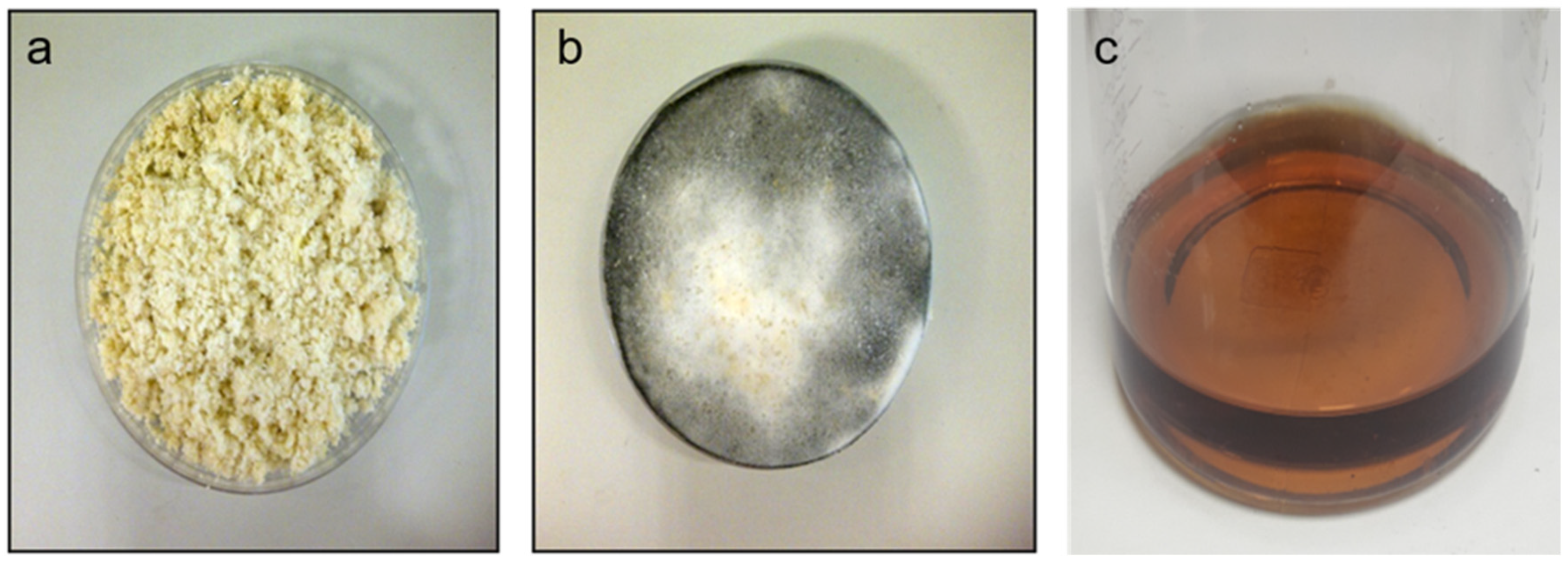 Fermentation 09 00031 g001 Fermentation 09 00031 g001